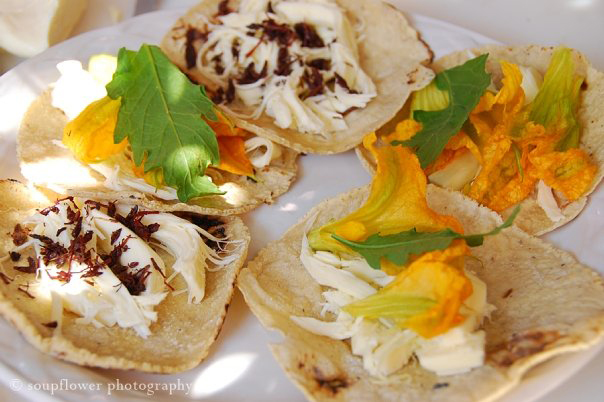 Chapulines en tacos, hechos por la fotógrafa en una clase de cocina durante su viaje a Oaxaca. © Soupflower Photography