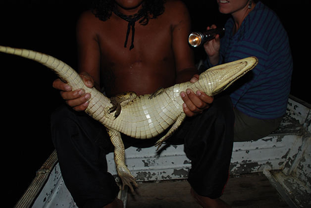 Noche en búsqueda de caimanes. Foto © Patrick Mreyen