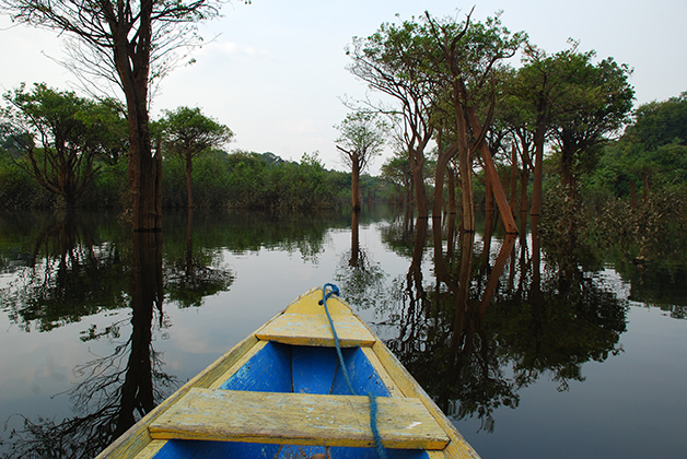 Por la tarde un paseo inolvidable en lancha para admirar la naturaleza del Amazonas. Foto © Patrick Mreyen
