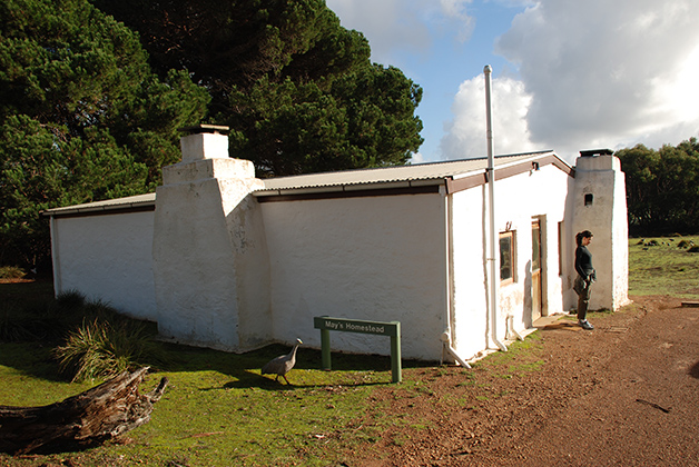 Nuestro cottage Mays Homestead en el Rocky River Heritage Accommodation.Foto © Patrick Mreyen