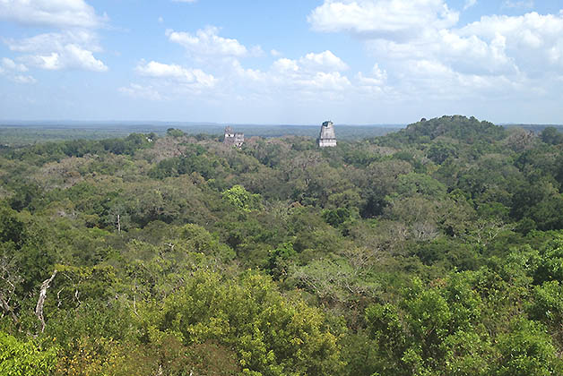 Vista panorámica desde el Templo IV. Foto © Silvia Lucero