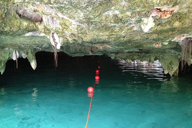 Esa cueva había que atravesarla nadando y estaba llena de murciélagos. Foto © Patrick Mreyen