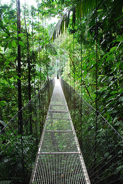 Puentes colgantes. Foto © Patrick Mreyen