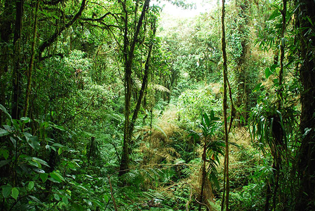 Puedes caminar a través de sus paisajes impresionantes. Foto © Patrick Mreyen