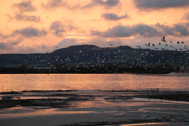 Atardecer en el lago Rotorua. Foto © Patrick Mreyen