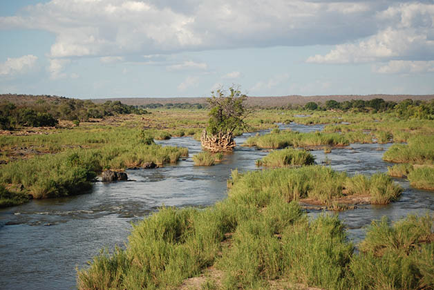Parque Nacional Kruger en Sudáfrica. Foto © Patrick Mreyen
