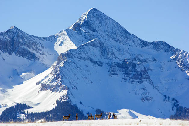 Paisaje espectacular. Foto © Courtesy of the Telluride Tourism Board