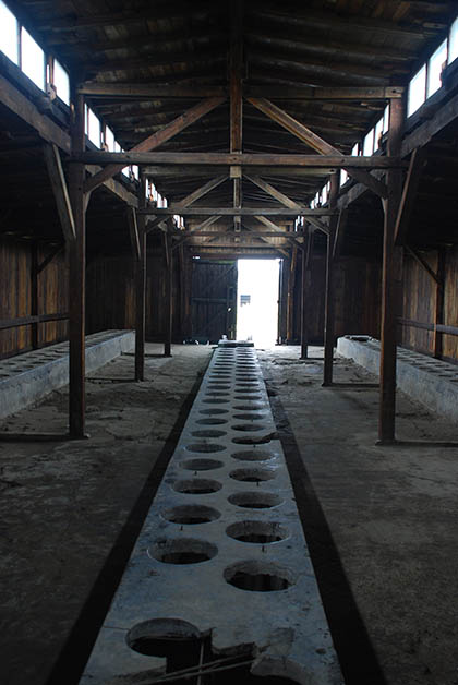 Baños en Birkenau. Foto © Patrick Mreyen