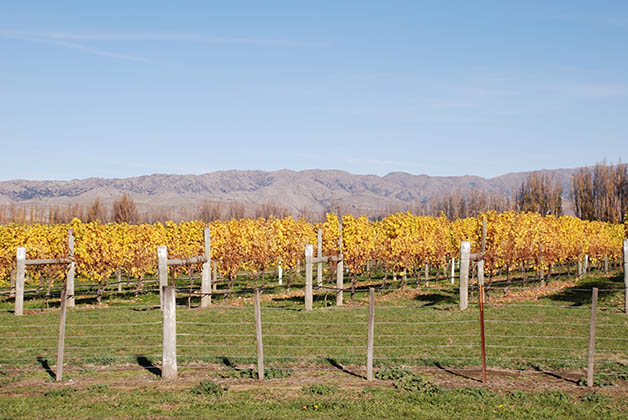 Marlborough, Nueva Zelanda. Foto © Silvia Lucero