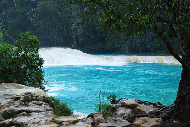 Cascadas de Agua Azul. Foto © Patrick Mreyen