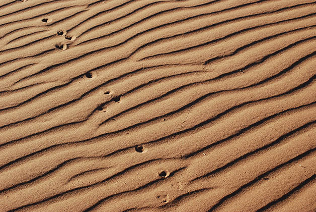 La arena de la superficie se mueve con el viento. Foto © Patrick Mreyen
