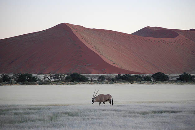 Lo ideal es ir viendo el cambio de colores en las dunas. Foto © Patrick Mreyen