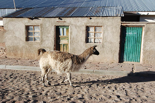 Pueblos solitarios. Foto © Silvia Lucero