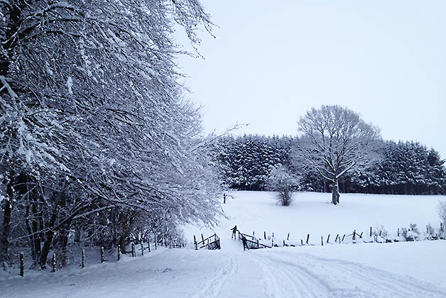 Los paisajes son preciosos, sobre todo con los arboles cubiertos de nieve. Foto © Silvia Lucero