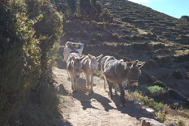 Isla del Sol, en el lado boliviano del Lago Titicaca. Foto © Silvia Lucero