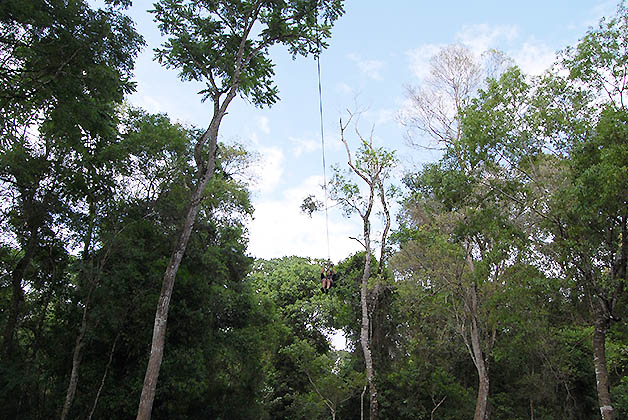 Canopy en Iguazú. Foto © Silvia Lucero