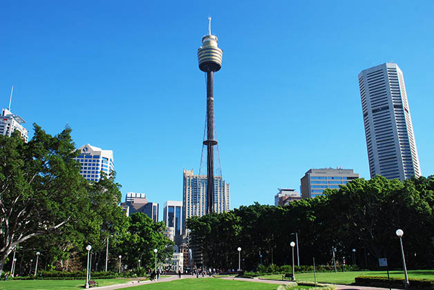 Hyde Park, el parque público más antiguo de Australia. Foto © Patrick Mreyen