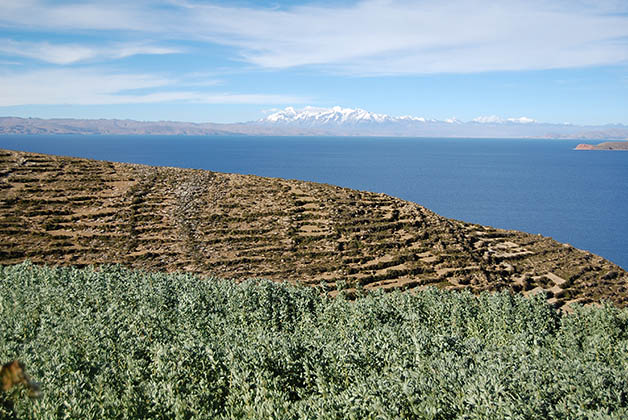 Paisajes de la Isla del Sol. Foto © Silvia Lucero