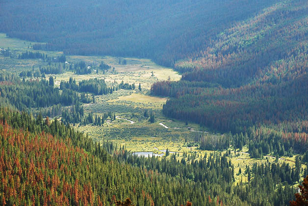 Parque Nacional de las Montañas Rocallosas en Colorado. Foto © Silvia Lucero