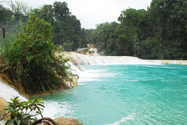 Cascadas de Agua Azul enChiapas, México. Foto © Patrick Mreyen