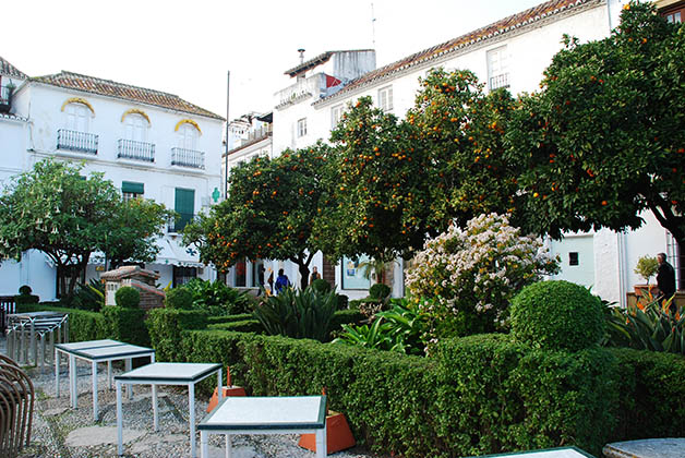 Plaza de los Naranjos. Foto © Patrick Mreyen