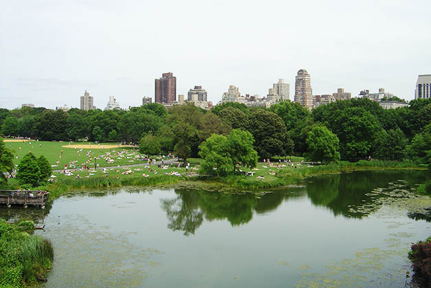 Central Park en Nueva York. Foto © Silvia Lucero
