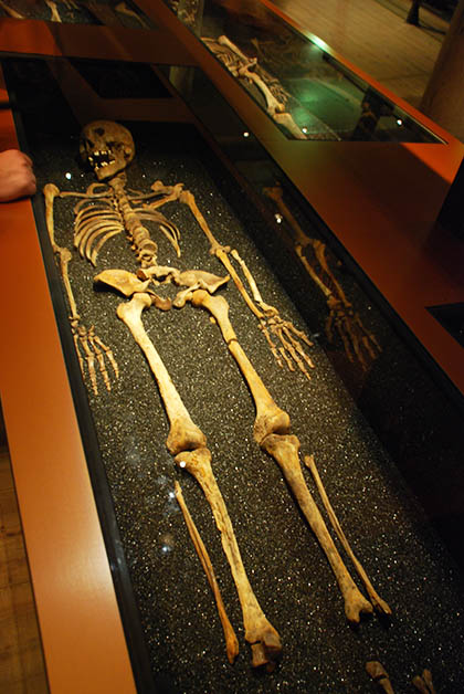 Esqueleto de uno de los tripulantes. Foto © Patrick Mreyen