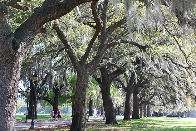 Parque Forsyt en Savannah. Foto © Silvia Lucero