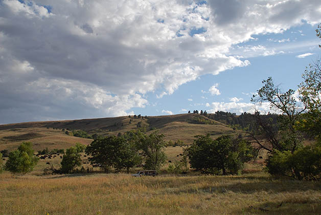 Parque Custer State, hogar de los bisontes. Foto © Patrick Mreyen