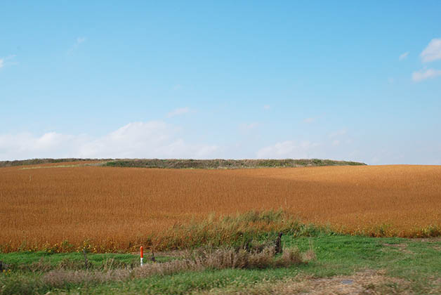 Esto me venía a la mente cuando pensaba en Nebraska. Foto © Silvia Lucero