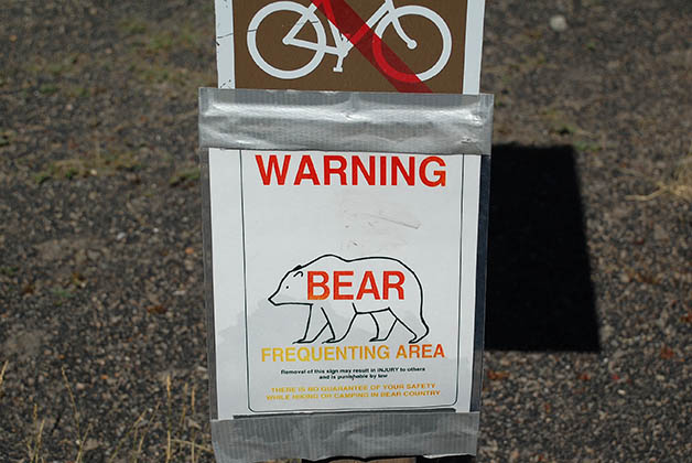 En el parque te dan una guía para saber qué hacer si te encuentras con un oso. Foto © Patrick Mreyen