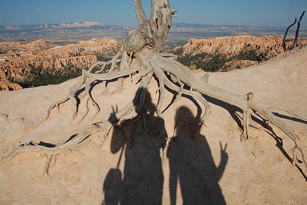 Nuestras sombras viajeras. Foto © Patrick Mreyen