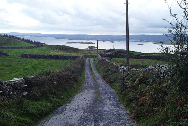 En carretera en Irlanda. Foto © Silvia Lucero