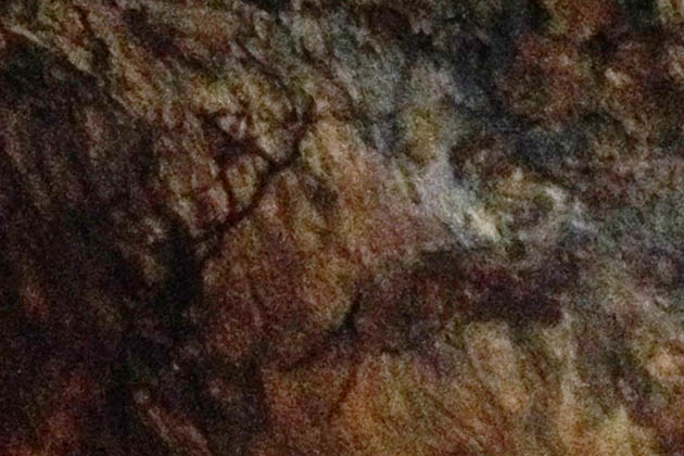 Arte rupestre en la Cueva El Castillo. Foto © Patrick Mreyen