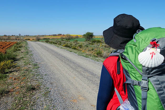 Uno de mis sueños para el 2016, hacer el Camino de Santiago. 