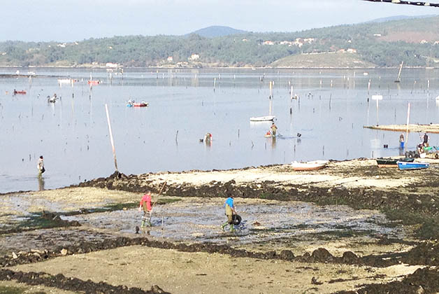 Pescadores en pueblo de Galicia. Foto © Silvia Lucero