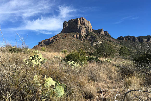 El paisaje es muy bonito con los cactus. Foto © Silvia Lucero