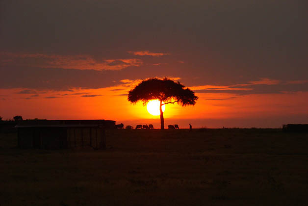 Kenia. Foto © Vanessa Lucero
