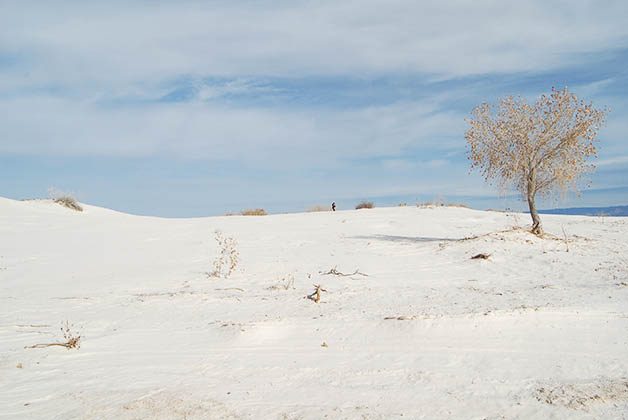 White Sands National Monument. Foto © Patrick Mreyen