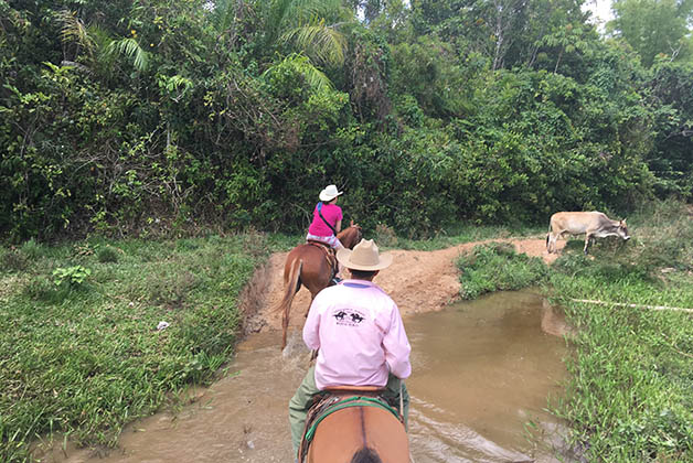 Viñales se tiene que recorrer a caballo. Foto © Patrick Mreyen 