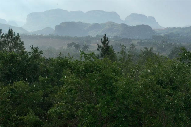 Solo en Viñales nos tocó un día de lluvia. Pero duró poco. Foto © Silvia Lucero