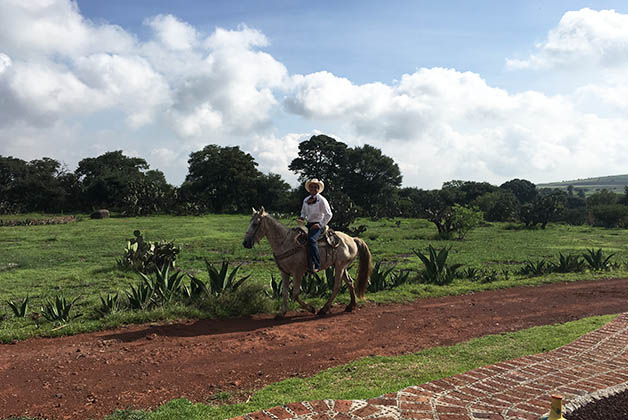 De salida da la excursión. Foto © Silvia Lucero